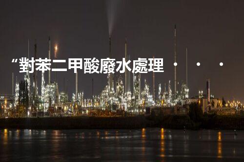 “對苯二甲酸廢水處理，綠色創(chuàng)新引領(lǐng)環(huán)保新篇章”